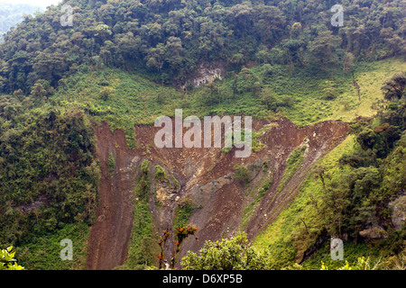 Erdrutsch in den amazonischen Ausläufern der Anden in Ecuador. Verursacht durch das Löschen einer Weide auf als unangemessen Steilhang. Stockfoto