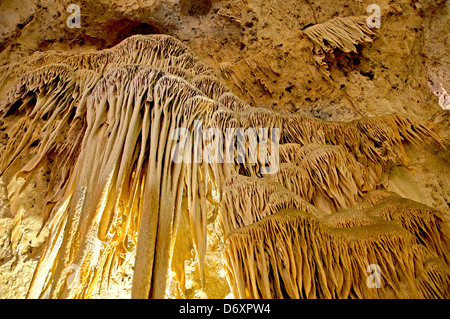 Carlsbad Caverns in New Mexico, USA Stockfoto