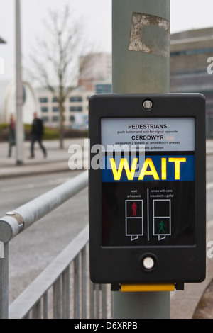 Fußgänger warten Schild am Pelican Crossing in den Sprachen Englisch und Walisisch. Stockfoto