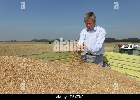 Hassmoor, Schleswig-Holstein, Farmer William Rupprecht von guten Hoebek mit der Weizenernte Stockfoto