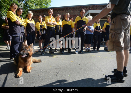 Berlin, Deutschland, in der Werkstatt Briefträger Postbote Hund Stockfoto