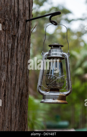 Alten Stil Laterne hängen von Baum. Stockfoto