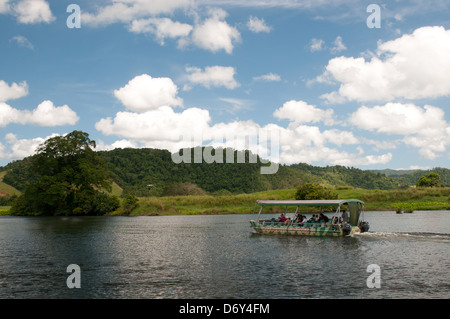 Touristischen Boot Krokodil beobachten auf dem Daintree River, Far North Queensland, Australien Stockfoto