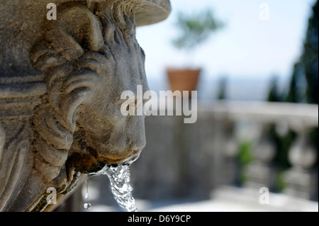 Villa D Este. Tivoli. Italien. Wasserläufe, aus eine geschnitzte Löwenkopf auf das Becken des Brunnens des Stativs gefunden. V Stockfoto