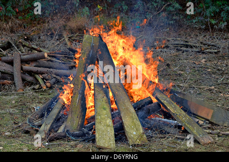 Ein großer Outdoor-Feuer angemacht mit Protokollen und Bretter auf einer Lichtung. Stockfoto