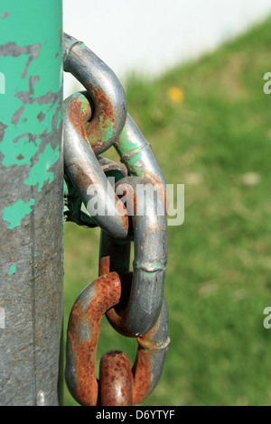 Der Rost bedeckt Glieder einer Stahl Kette auf einem grünen Zaun in einem Park in Cotacachi, Ecuador Stockfoto