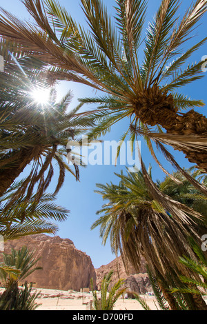 Familie Urlaubsziel: Dahab am Roten Meer in Ägypten (Sinai) Stockfoto