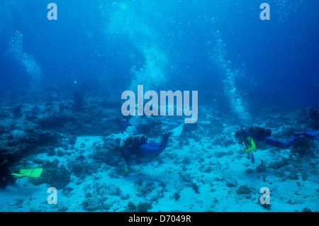 Blue Coral Seas, Unterwasser Fotografie, Malediven schieben Okt 1989 unter Wasser Konvertierungen, maledivischen Inseln, Malediven, Indischer Ozean Stockfoto