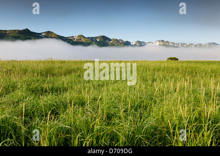 Feld mit Grass vor Bergen bedeckt mit Wolken. Stockfoto