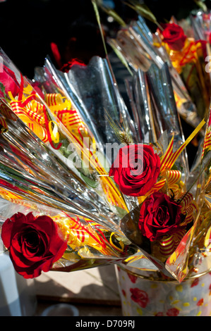 Rote Rosen auf Sant Jordi Festival, (St.-Georgs Tag) in der Passeig de Gràcia Straße. Barcelona. Katalonien. Spanien. Stockfoto