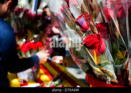 Rote Rosen auf Sant Jordi Festival, (St.-Georgs Tag) in der Passeig de Gràcia Straße. Barcelona. Katalonien. Spanien. Stockfoto