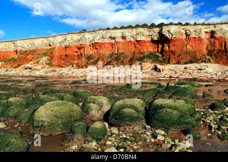 Alten Hunstanton Cliffs, farbigen Schichten, Ebbe, Norfolk. Gestreifte Klippen, weiße Kreide, rote Kreide, Carstone "layers" England UK Stockfoto