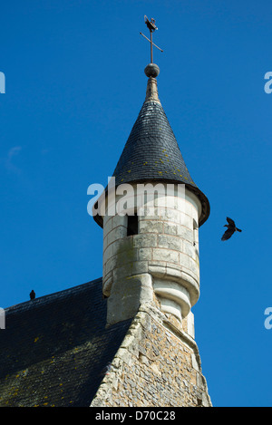 Paar von Dohlen, Corvus Monedula, mit einem Nest gebaut in einem Turm in Parce-Sur-Sarthe, Frankreich Stockfoto