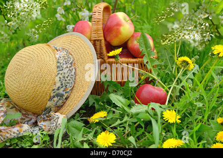 Frisch und bunt Äpfel im Korb, selektiven Fokus Stockfoto