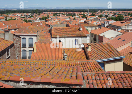 Elne, Frankreich, Hausdaecher in Elne in der Abteilung der Pyrenäen-Orientales Stockfoto