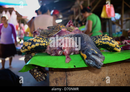 Schildkrötenfleisch auf Belen Markt. Iquitos, Peru Stockfoto