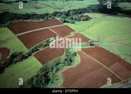 Hawaii. Luftaufnahme von Äckern. Hamakua. Stockfoto