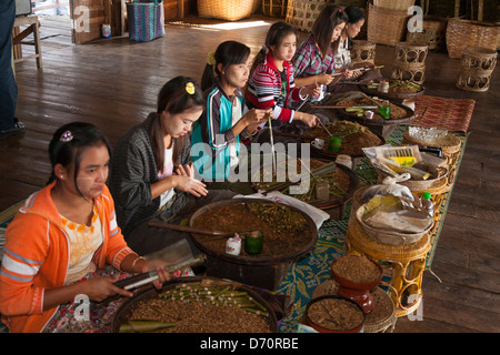 Junge Frauen machen Cheroots in einem Cheroot machen Fabrik, Nampan, Inle-See, Shan State in Myanmar (Burma) Stockfoto