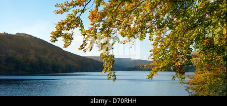 Blick auf Ladybower Vorratsbehälter und Herbst Bäume, der Peak District National Park. Stockfoto