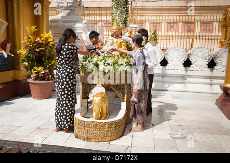 Anbeter gießt Wasser auf eine religiöse Statue an der Shwedagon-Pagode, Yangon (Rangoon), Myanmar, (Burma) Stockfoto