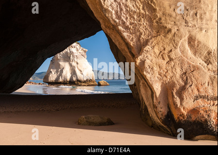 Die markante natürliche Kalkstein stack Te Hoho Rock durch die Rock arch in Cathedral Cove, Coromandel Halbinsel am frühen Morgen gesehen. Neuseeland Stockfoto