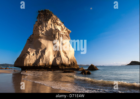 Am frühen Morgen Licht und die markanten natürlichen Kalkfelsen stack wie Te Hoho Rock, Cathedral Cove, Coromandel Halbinsel bekannt. Neuseeland Stockfoto