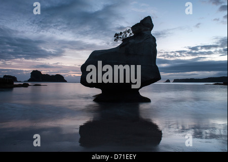 Sphinx-Felsen in der Dämmerung und ihre Reflexion in den Strand von Stutenmilch Bein Cove, neben Cathedral Cove, Coromandel Peninsula New Zealand Stockfoto