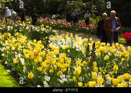 Springpark den Keukenhof, den Niederlanden mit Besuchern beobachten gelbe Tulpen und anderen blühenden Frühlingsblumen Stockfoto