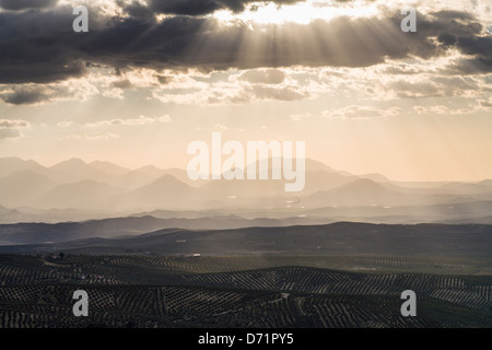 SIERRA MAGINA GESEHEN VOM NATIONALPARK SIERRA DE CAZORLA, JAEN, SPANIEN Stockfoto