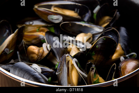 Moules Marinières, Muscheln mit Knoblauch und Kräutern in einer Creme-weißen Weinsoße Stockfoto