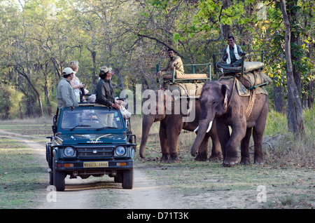 Asiatische Elefanten, Elephas Maximus, Mahout, arbeiten, Kanha Tiger Reserve, touristische Jeep, Madhya Pradesh, Indien Stockfoto