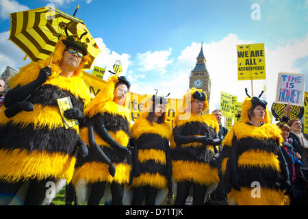 Parlament, London, UK. 26. April 2013. Rund 100 Imkern werden voraussichtlich am Parliament Square zu sammeln und nach liefern eine Petition zu Nr. 10 Downing Street zusammen mit Persönlichkeiten wie Vivienne Westwood, Katharine Hamnett, Rachel Whiteread drängen Owen Paterson nicht Block der EU-Vorschlag für die Verwendung bestimmter Pestizide auszusetzen. Die Demo kommt vor einer Abstimmung in Brüssel am Montag die entscheiden wird, ob Europa zustimmt, eine 2-Jahres-Moratorium für die Anwendung bestimmter Arten von Pestiziden Nenicotinoid einzuführen. Stockfoto