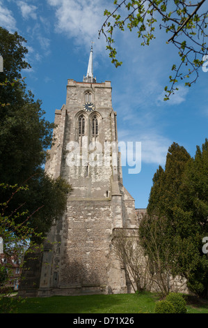 Str. Marys Kirche mit Turm und Kirchturm Ashwell Hertfordshire UK Stockfoto