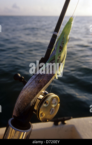 Sensenfische Köder verwendet für Offshore- und tiefen Meeresangeln in der Nähe von Port Aransas Texas Stockfoto