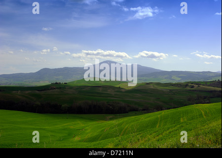 Italien, Toskana, Val d'Orcia und Monte Amiata Stockfoto