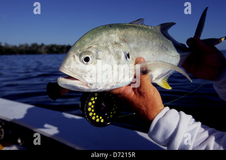 Eine Fliege Fischer mit einem Wagenheber (caranx crevalle hippos) in der Nähe von Key West Florida Keys gefangen Stockfoto