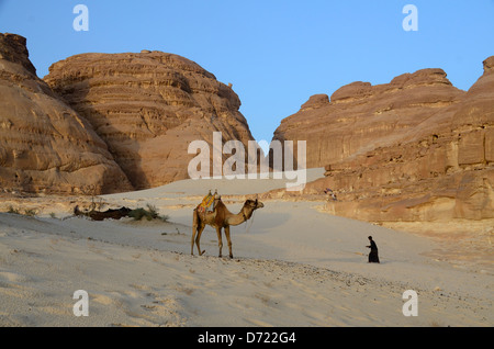 Kamel mit Beduinen Mann zu Fuß über den Sand in Richtung camp Stockfoto