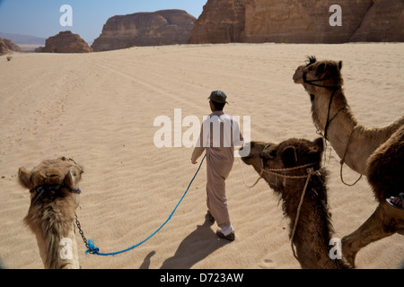 Reiten Sie ein Kamel durch die Wüste Sinai Stockfoto