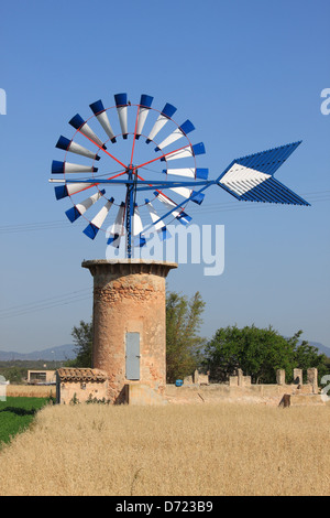 Typische Windmühle in Insel Mallorca, Spanien Stockfoto