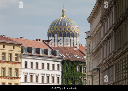 Berlin, Deutschland, Altbauten, Tucholsky Straße in Berlin-Mitte und die Kuppel der neuen Synagoge Stockfoto