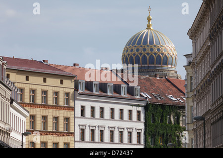 Berlin, Deutschland, Altbauten, Tucholsky Straße in Berlin-Mitte und die Kuppel der neuen Synagoge Stockfoto