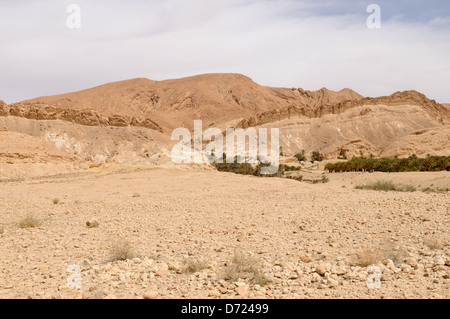 Tamerza Berg Oase Atlasgebirge Tunesien Stockfoto