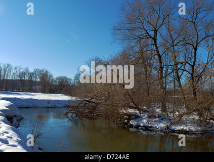 Bäume über den Fluss nach Schneeregen im Moskauer Gebiet Stockfoto