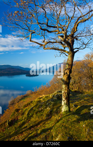 England, Cumbria, Lake District National Park. Derwentwater in der Nähe von Keswick, von Überraschung Blick auf Gowder Felsen gesehen. Stockfoto