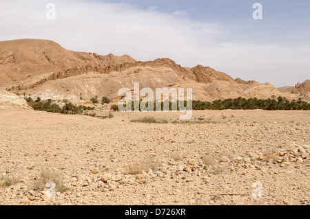 Tamerza Berg Oase Atlasgebirge Tunesien Stockfoto