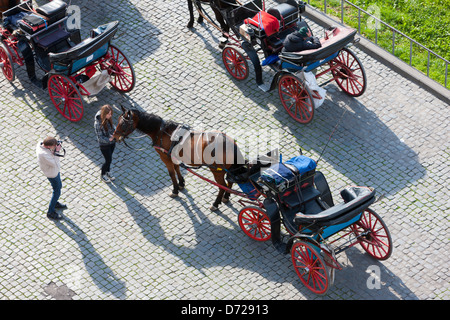 Pferd und Wagen auf gepflasterten Straßen in der Nähe des Kolosseums in Rom, Italien Stockfoto