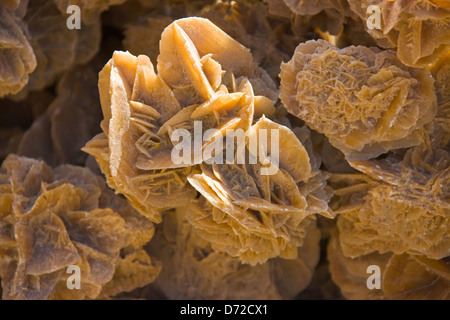 Wüste Rosen, Atlas-Sahara Mountain, in der Nähe von Tozeur, Tunesien Stockfoto