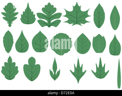 Grüner Baum verlässt. Stockfoto