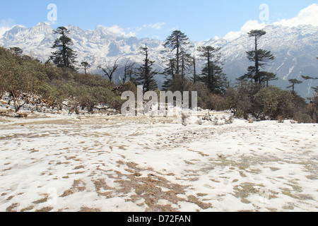 Goecha La (El 4940 m.) ist ein hoher Gebirgspass in Sikkim, Indien in den Himalaya-Bereich. Stockfoto