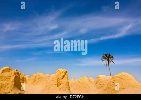 Sahara-Wüste, Ksar Ghilane, Tunesien Stockfoto